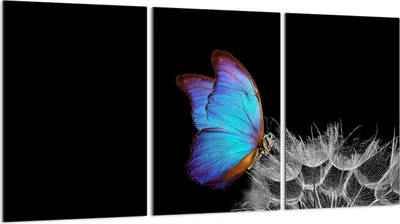 Produktbild von Glasschutzplatte für Herd 3x30x52