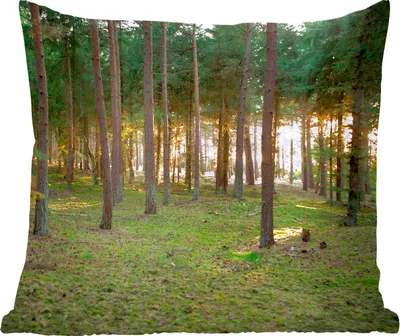 Produktbild von MuchoWow® Zierkissen Sofakissen Wohnzimmer Dekokissen 45x45 cm Baum - Sonne - Gras - Schlafpolster - Polster für das Sofa