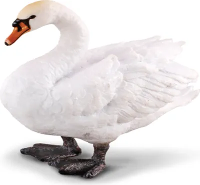 Produktbild von Sammlerstück - Cisne -M- 88211 (90188211) COLECTA