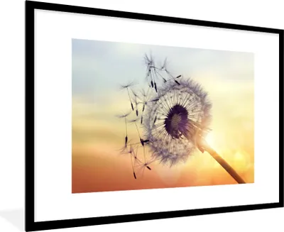 Produktbild von MuchoWow® Gerahmtes Poster Löwenzahn 90x60 cm - Poster mit Schwarzem Bilderrahmen Wandposter Rahmen Foto Bilder - Wanddekoration - Fotos