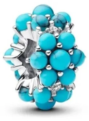 Obrázek produktu pro PANDORA, model 793897C02