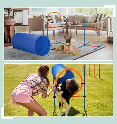 Image de Parcours d'agilité pour chiens avec tunnel, haies et slalom