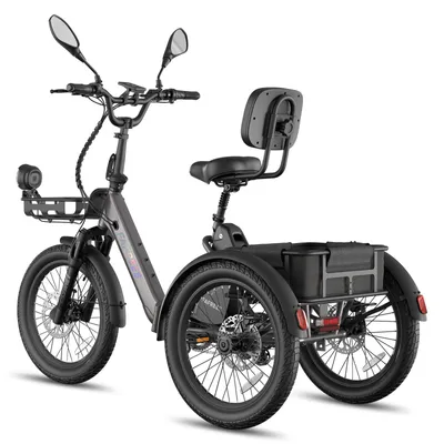 Produktbild von Elektro Dreirad mit 180 kg Nutzlast, 48 V 21 Ah Lithium Akku, 85 km Reichweite, für Fahrergröße 160-200 cm,  Schwarz