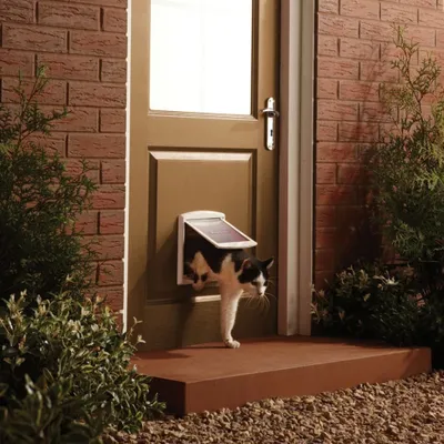 Immagine prodotto di PetSafe Porta per animali domestici a 2 vie 715 Small 17,8x15,2 cm Bianco