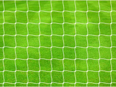 Obrázek produktu pro Fotbalová branka 732 x 244 cm 4 mm polypropylen bílá