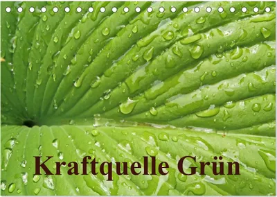 Produktbild von Kraftquelle Grün (Tischkalender 2025 DIN A5 quer), CALVENDO Monatskalender