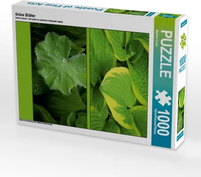 Produktbild von Calvendo Grüne Blätter 1000 Teile Puzzle hoch 480x640mm, Cross Martina; 7294730