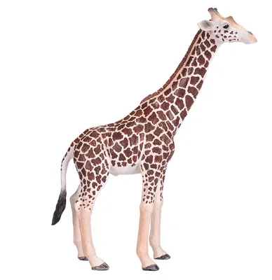 Produktbild von Mojo Wild Life Giraffe Männchen 381008
