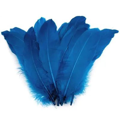 Entenfedern, Bastelfedern, blau