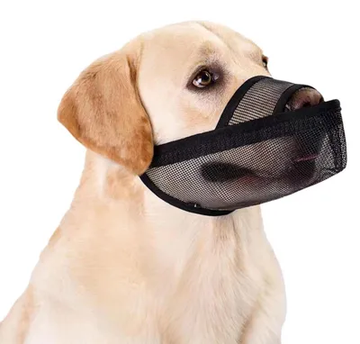 Immagine prodotto di Ciotola per cani, in rete, traspirante, colore nero