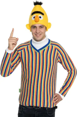 Produktbild von Sesamstraße – Bert Pullover Größe: L