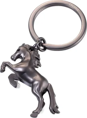 Image de Cheval Sauvage
