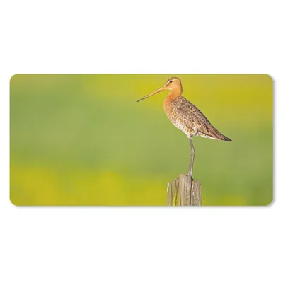 Produktbild von MuchoWow® Schreibtischunterlage Vogel - Tiere - Uferschnepfe - Pfahl - Grün 80x40 cm - XXL Mauspad - Gaming Mauspad
