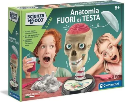 Obrázok produktu pre Zestaw Zwariowana Anatomia kreatywny dla dzieci