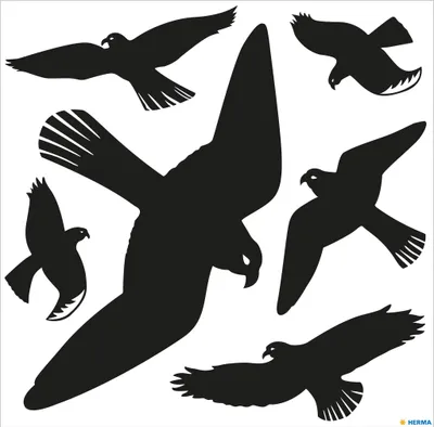 Productafbeelding van Waarschuwingsborden, 30x30 cm, zwart, verpakkingseenheid: 5 stuks per vel