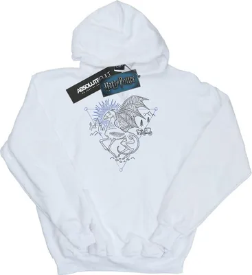 Image de Harry Potter - Sweat à capuche garçon BI7641 (128) (Blanc)
