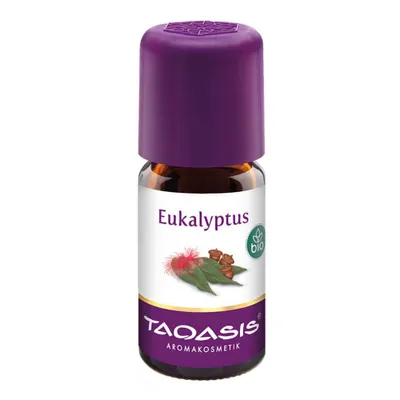 Image de Eucalyptus BIO 5ml