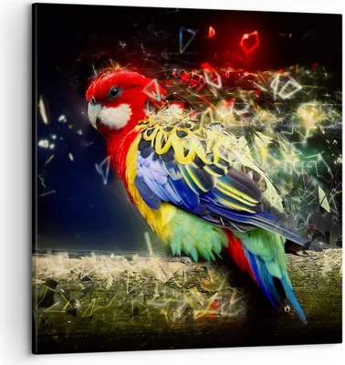 Produktbild von Bild auf Leinwand - Leinwandbild - Papagei Vogel Feder - 50x50cm - Wand Bild - Wanddeko - Wandbilder - Leinwanddruck - Bilder - Kunstdruck - Wanddekoration - Leinwand bilder - Wandkunst - AC50x50-3682