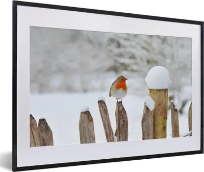 Produktbild von MuchoWow® MuchoWow® Gerahmtes Poster Vogel - Zaun - Schnee 60x40 cm - Poster mit zchwarzem Bilderrahmen - Schlafzimmer - Plakat in Rahmen - Drucken