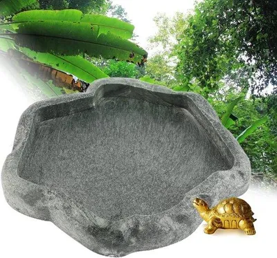 Produktbild von Robustes Futter- und Wasserschalen-Set für Schildkröten und Echsen