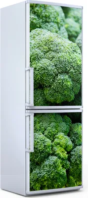 Produktbild von Magnete Dekorative - 60 cm x 180 cm - Küche Magnetmatte Kühlschrankmagnete - Frischer Brokkoli Gemüse