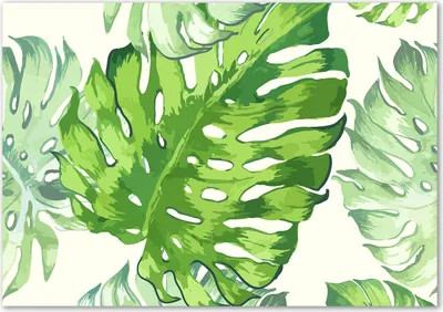 Produktbild von Tulup® Glas-Bild - 100 x 70 - Wandbild aus Glas - Wandkunst - Wandbild hinter gehärtetem Sicherheitsglas - Blumen & Pflanzen - Tropische Blätter - Grün