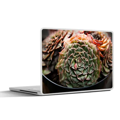 Produktbild von MuchoWow® Laptop Aufkleber Sticker Cover Sukkulente Pflanze Nahaufnahme 40x30 cm - Laptop Dekoration - Selbstklebend