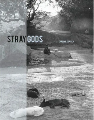 Produktbild von Stray Gods