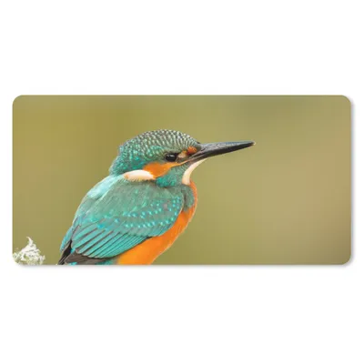 Produktbild von MuchoWow® Schreibtischunterlage Eisvogel - Tiere - Vogel 80x40 cm - XXL Mauspad - Gaming Mauspad