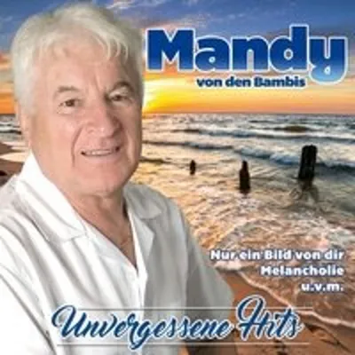 Produktbild von Unvergessene Hits
