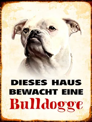 Produktbild von vianmo Holzschild 40x30 cm Hund dieses Haus bewacht eine Bulldogge