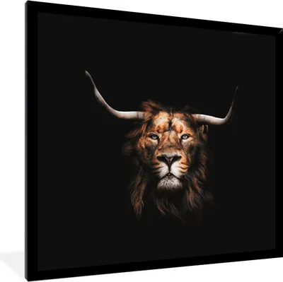 Produktbild von MuchoWow® Gerahmtes Poster Löwe - Tiere - Schottischer Highlander 40x40 cm - Poster mit Schwarzem Bilderrahmen Wandposter Rahmen Foto Bilder - Mit Rahmen - Wanddekoration Schlafzimmer