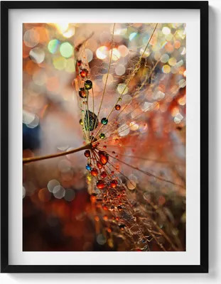 Produktbild von Gebläse und Tau– Wandbild mit Rahmen – Gerahmtes Bild  – Wanddekoration – 60x80 cm –  Schwarz Rahmen