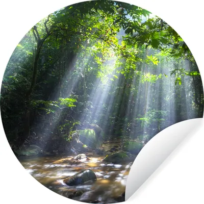 Produktbild von MuchoWow® Runde Wandtattoo - Wandsticker Tapete Aufkleber Sonnenstrahlen dringen durch die Bäume in den Regenwald von Malaysia Ø 100 cm Selbstklebend und Repositionierbar - Wandaufkleber - Kreis - Tapetenkreis - Wandbild rund - Schlafzimmerdekoration - Wanddeko - runde Tapete - Kunst für zu Hause