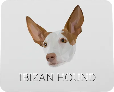 Productafbeelding van Ibizan Podenco geometrische onderlegger Art-Dog