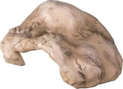 Image de Repti-Zoo Grotte en pierre et argile 21 x 15 x 9 cm Repti-Zoo