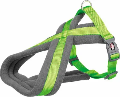 Produktbild von Premium Touren Geschirr gepolstert S: 35-50 cm/20 mm apfel