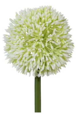 Produktbild von künstliche Allium Kugelblüte weiß H. 64cm Blüte D. 11cm GASPER Kunstblume