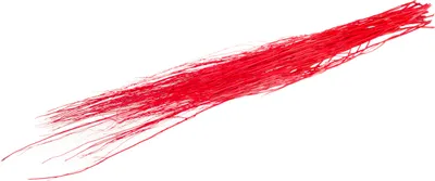 Produktbild von Weidenbündel rot Dekozweige im Bündel mit 250g