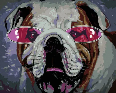 Image de Zuty - Peinture par numéros - BULDOČEK AVEC DES LUNETTES ROSES, 40 x 50 cm, sans cadre et sans toile tendue