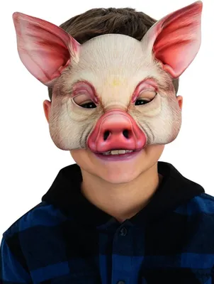 Produktbild von Schwein Maske für Kinder