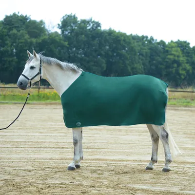 Image de Busse Chemise séchante BASIC II