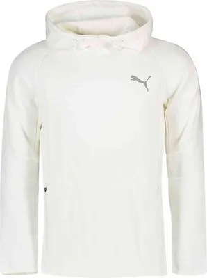 Image de Sweat à capuche Puma 58580952 pour Uni