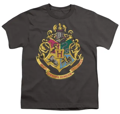 Produktbild von Harry Potter - T-Shirt für Kinder TV37284 (152-158) (Holzkohle)