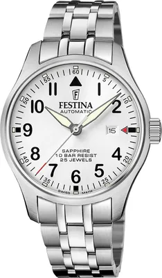 Obrázek produktu pro Stříbrné hodinky Festina F20151-A