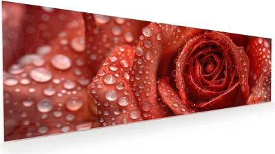 Produktbild von Glasbild 120x40cm in XXL für Wohnzimmer, Schlafzimmer Motiv Wassertropfen Rose