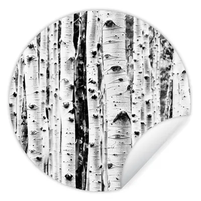Produktbild von MuchoWow® Runde Wandtattoo - Wandsticker Tapete Aufkleber Bäume - Holz - Schwarz und weiß - Natur Ø 100 cm Selbstklebend und Repositionierbar - Wandaufkleber - Kreis - Tapetenkreis - Wandbild rund - Schlafzimmerdekoration - Wanddeko - runde Tapete - Kunst für zu Hause
