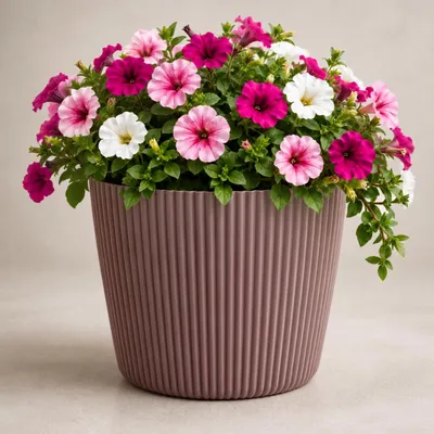 Produktbild von Prosperplast Pflanztopf Buckingham - terra braun - D29 cm