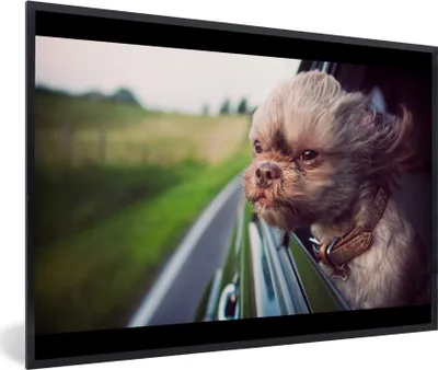 Produktbild von MuchoWow® MuchoWow® Gerahmtes Poster Hund - Auto - Tier 90x60 cm - Poster mit zchwarzem Bilderrahmen - Fotorahmen - Foto-Plakat