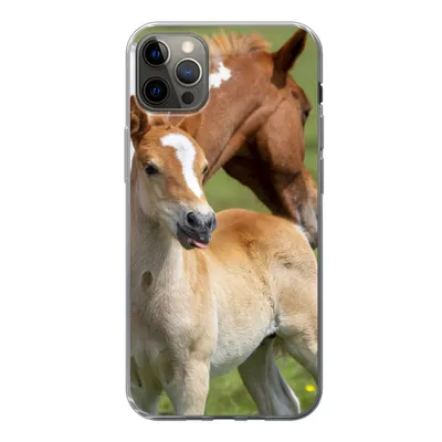 Produktbild von MuchoWow® Handyhülle Schutzhülle Hülle für iPhone 12 Pro Max Pferde - Fohlen - Gras Silikon Softcase Handy Hülle - Hartschale